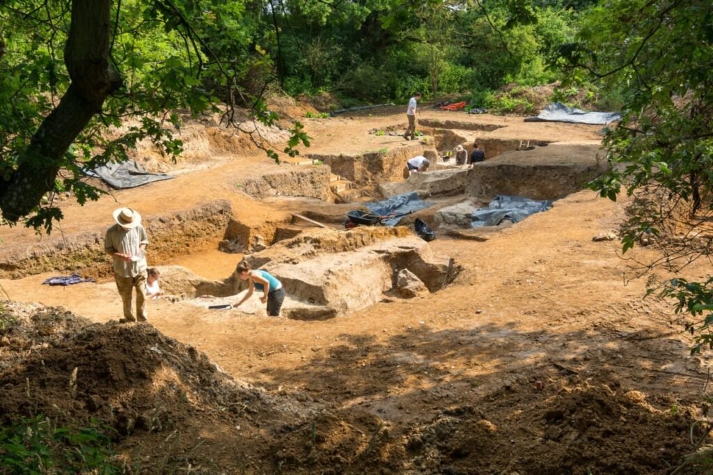 Barnham-site-1280x853