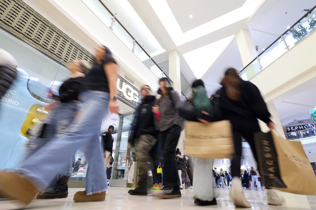 Black Friday Holiday Shopping