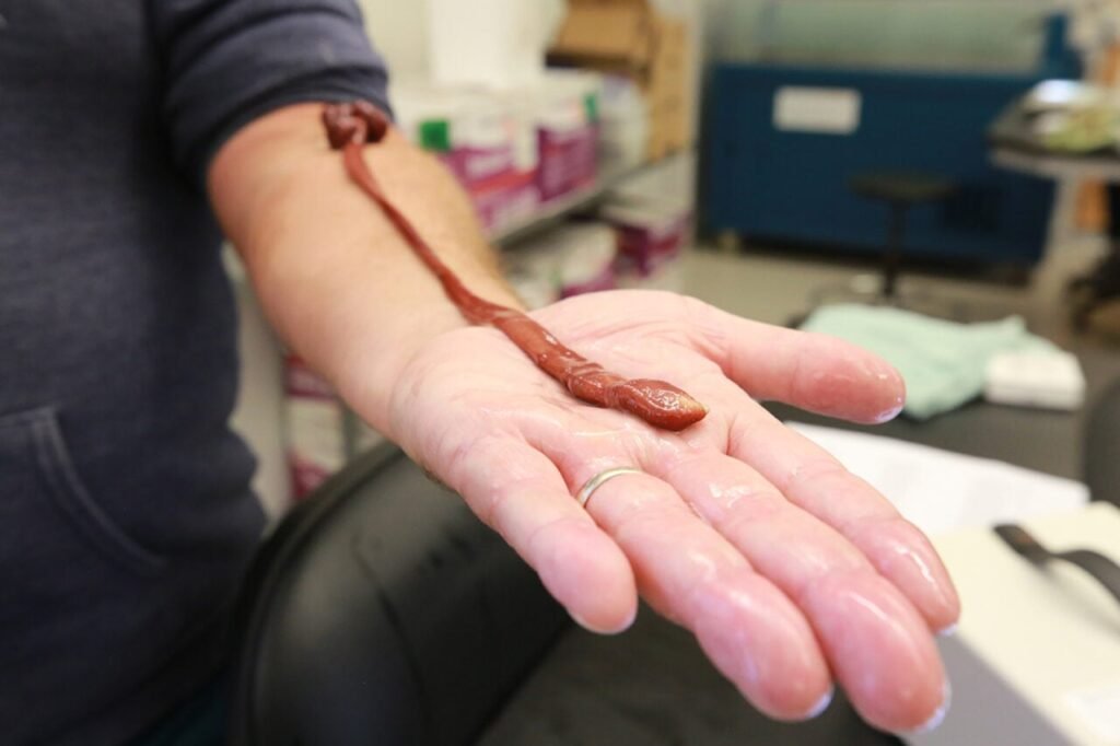 jonathan-allen-b-ribbon-worm-on-hand-1280x853