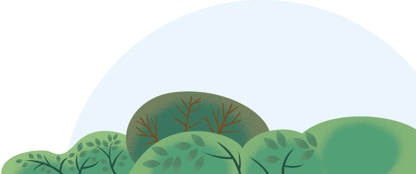 offer-illustration-layout-one