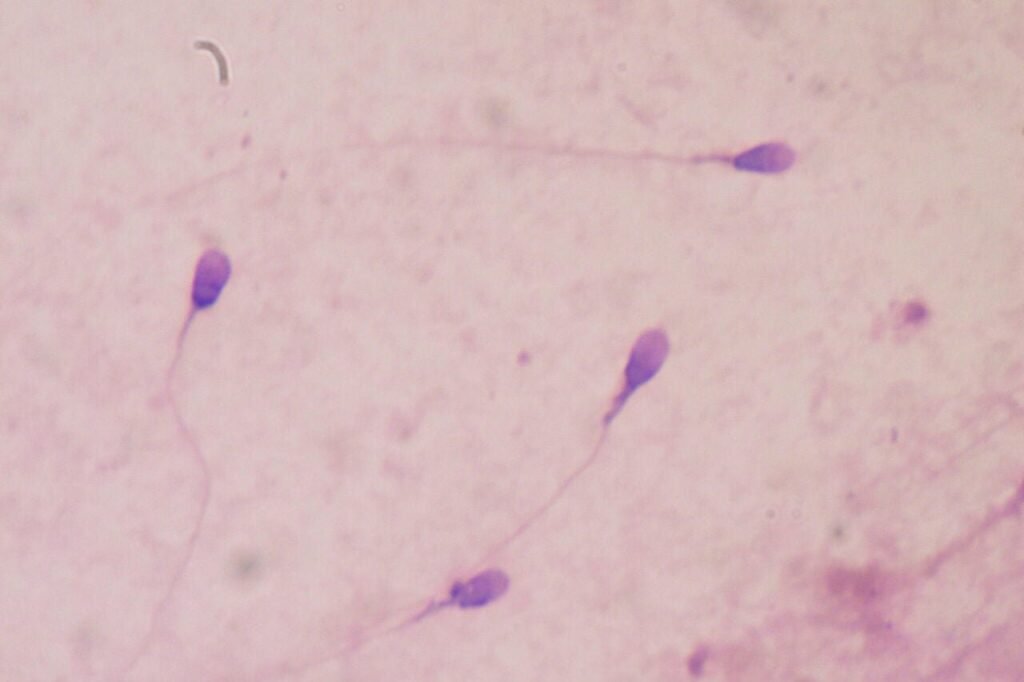 sperm-1280x853