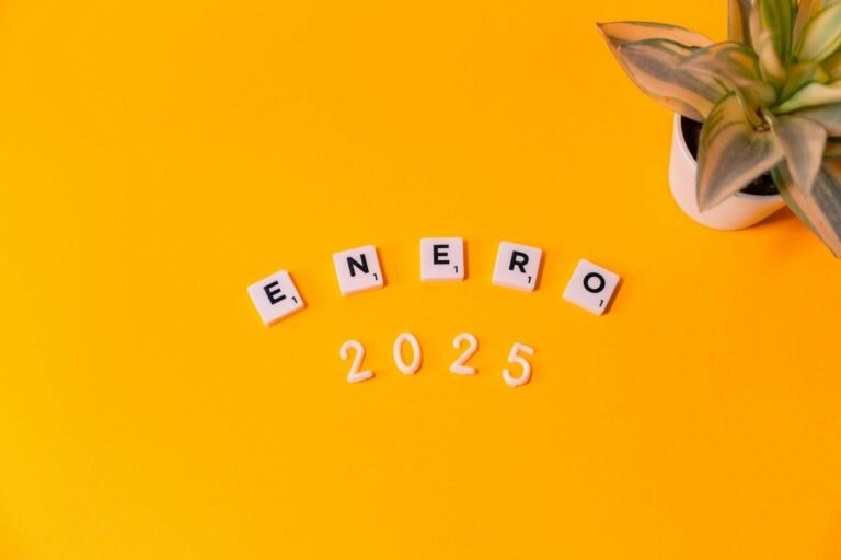 2025 Financial Highlights - 2025 Financial Highlights 2025 professional business image