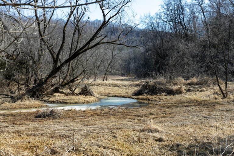Apple Creek Banking Wooster - Apple Creek Banking Company professional business image