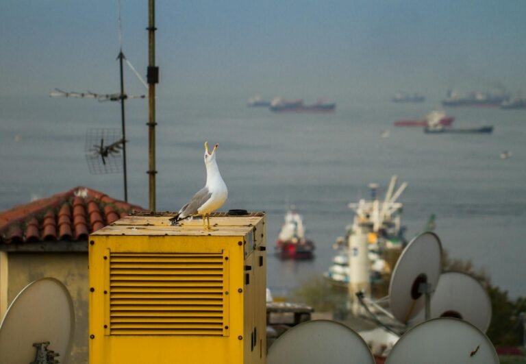 CNBC Squawk Box - CNBC Squawk Box studio professional business image