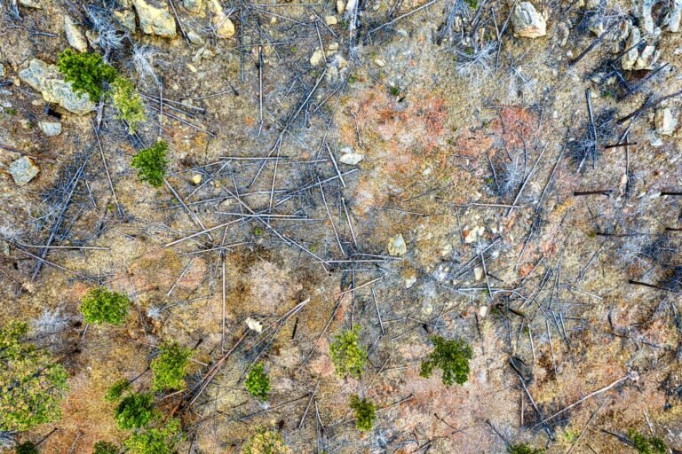 doomsday AI impact - doomsday AI destroying global professional business image