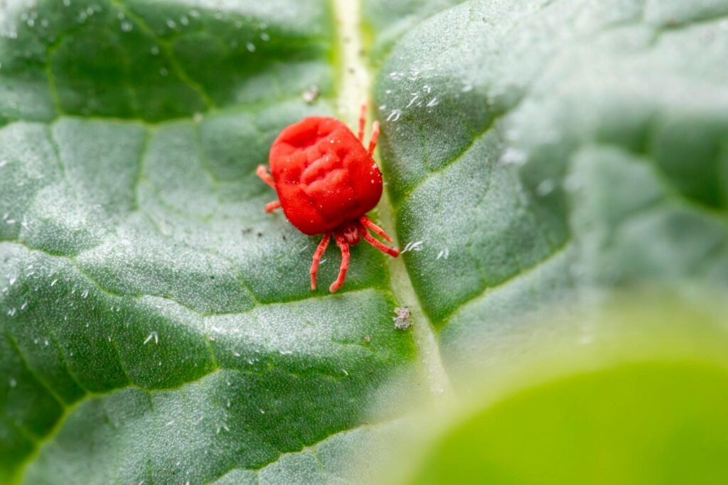 HR recruitment pest control - pest control office HR professional business image