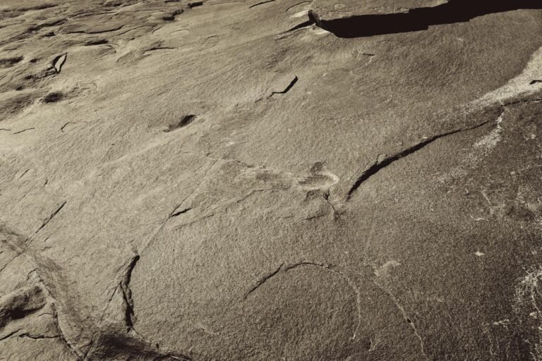 Iberdrola AWS Bedrock - Iberdrola AWS Bedrock technology professional business image