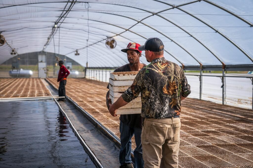 Maryland horticulture economy - Maryland greenhouse agriculture workforce professional business image