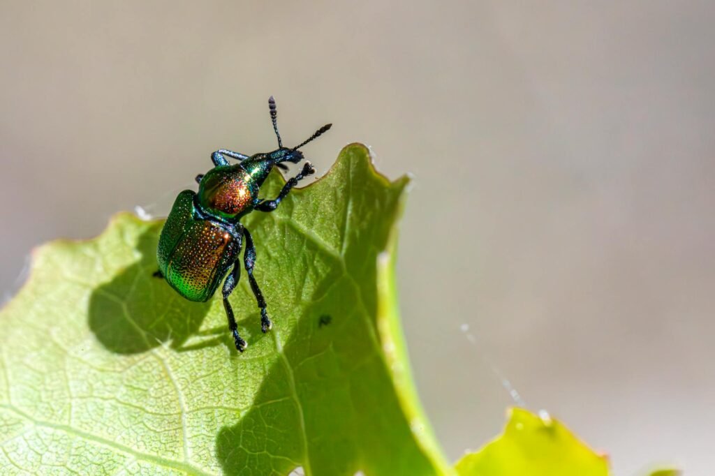 pest control billboards - pest control billboards with professional business image