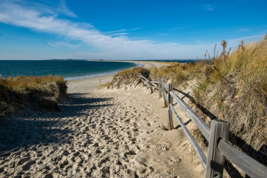 Rhode-Island-CPOM-ban - Rhode Island business regulation professional business image