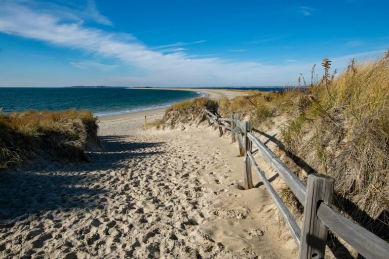 Rhode-Island-CPOM-ban - Rhode Island business regulation professional business image