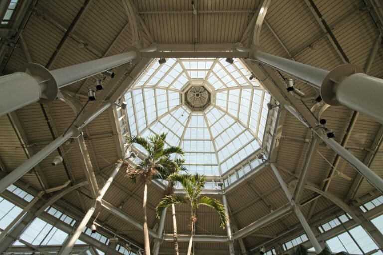 Terri Lewis Landstar CHRO - Terri Lewis professional business professional business image