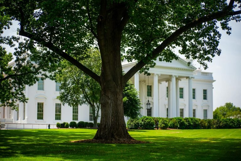 Trump AI Policy - Trump White House AI professional business image