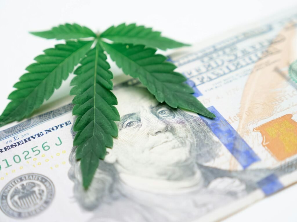 virginia cannabis sales - Virginia cannabis industry launch professional business image