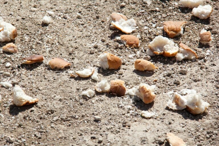 AI food waste solutions - AI food waste tech professional business image