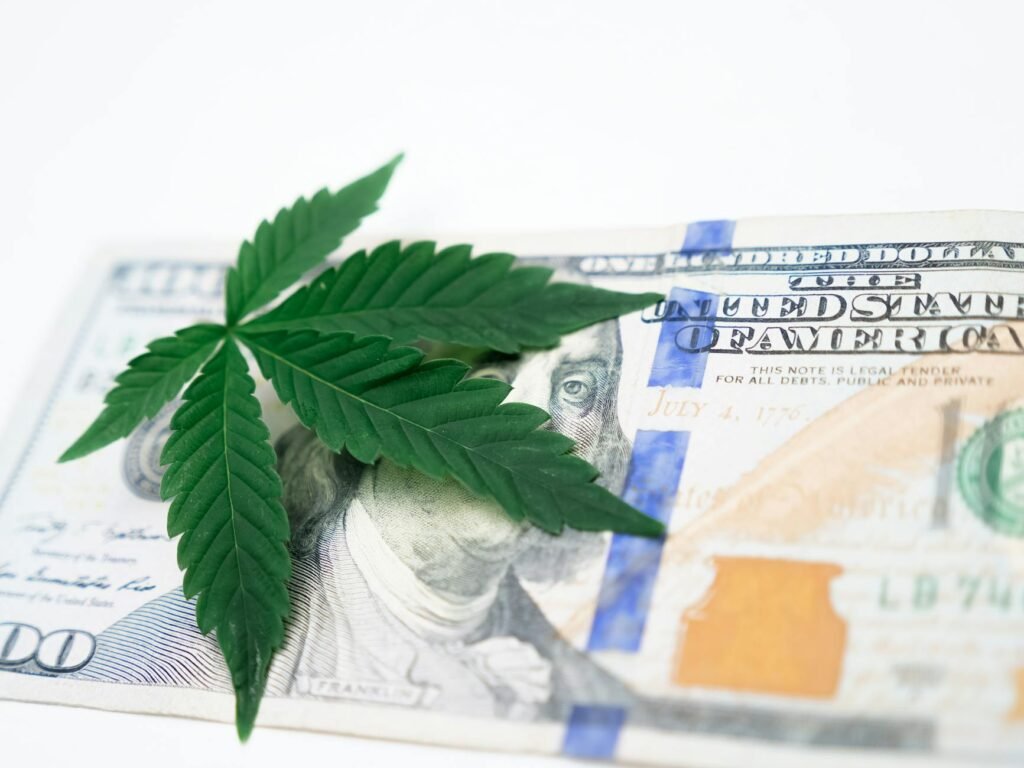 cannabis leadership insights - photorealistic cannabis industry business professional business image