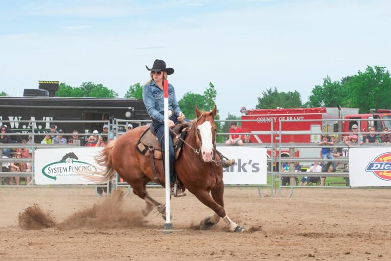 Dick's Sporting Q4 Report - Dick's Sporting Goods Q4 professional business image