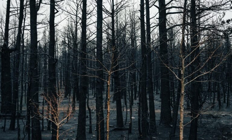 doomsday AI impact - cyber apocalypse tech disaster professional business image