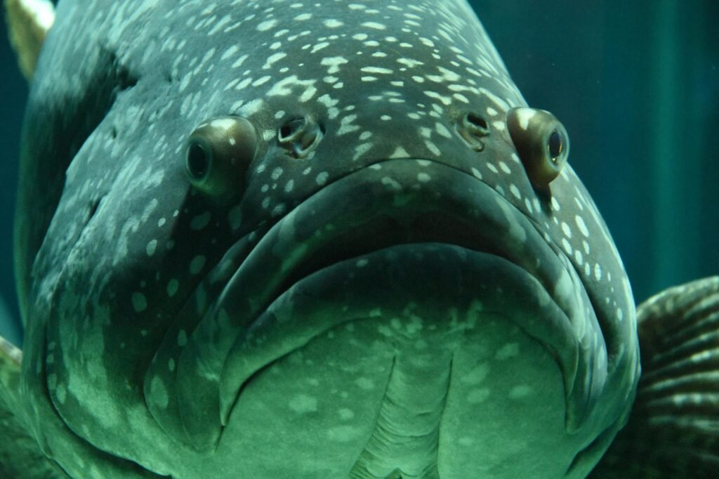 ERP for seafood - ERP software seafood processing professional business image