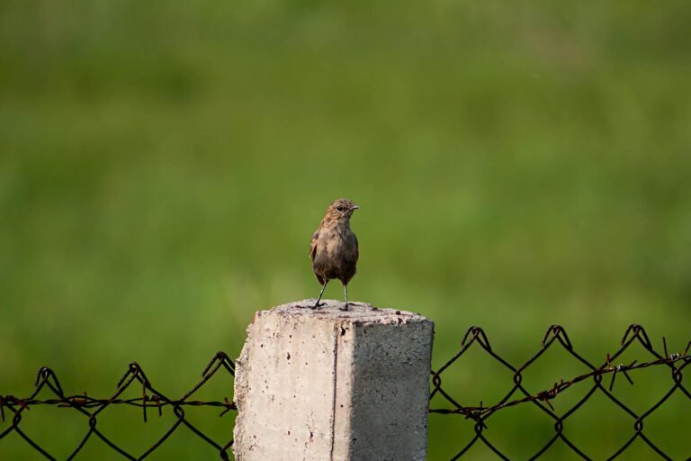 HR post-COVID challenges - HR professionals post-pandemic hybrid professional business image