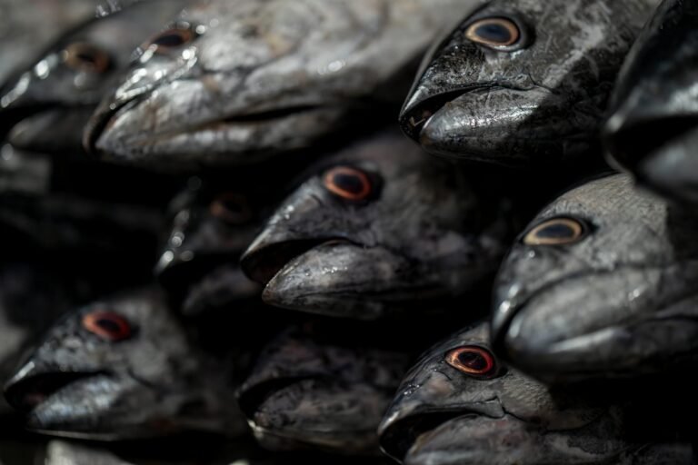 Iran Gulf strikes - Iran Gulf economic damage professional business image