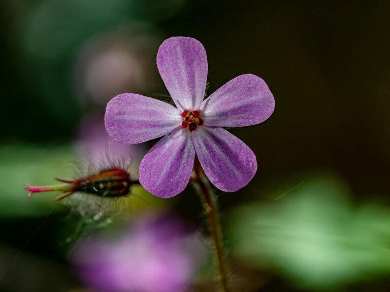 Robert Half Q4 - Robert Half Q4 professional professional business image