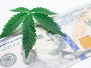 marijuana legalization impact - marijuana legalization positive business professional business image